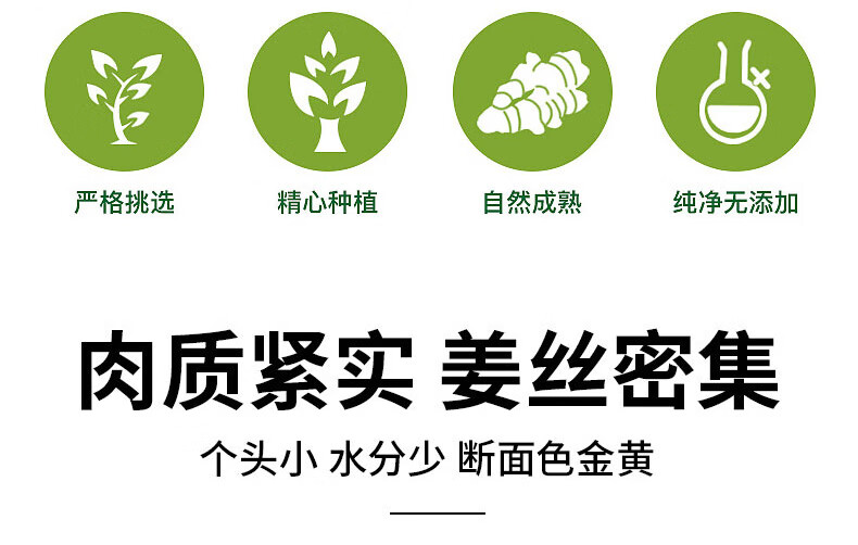 青樱红荔小黄姜正宗云南文山老姜新鲜生姜沙姜罗平4斤
