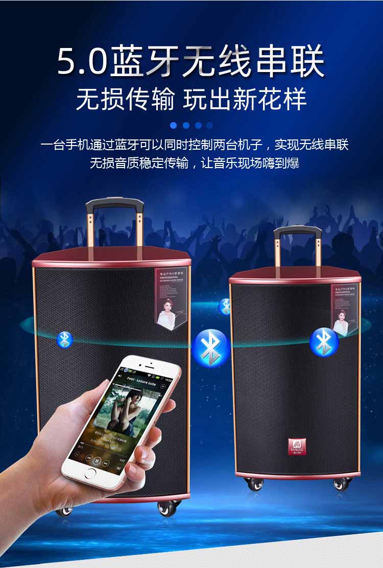 曼龙malone高端户外音响网红直播内录k歌广场舞移动拉杆带无线话筒
