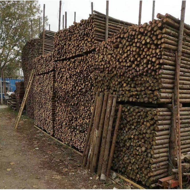 木景观绿化树木支撑杉木杆河道护坡圆木实木打桩木定制【图片 价格