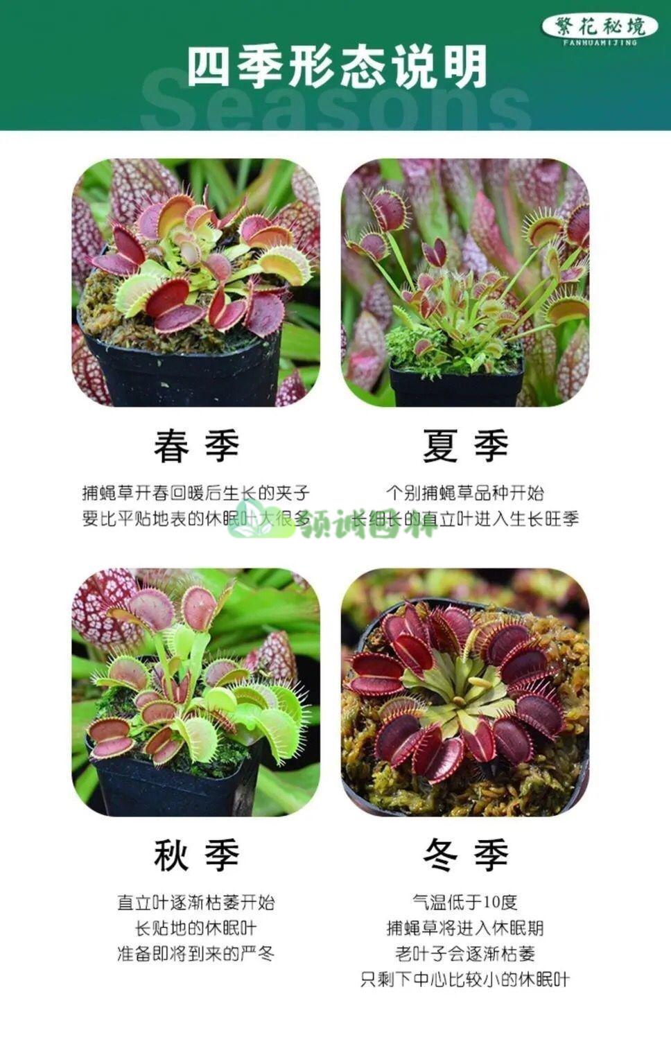 46f6380cd2847a16.jpg