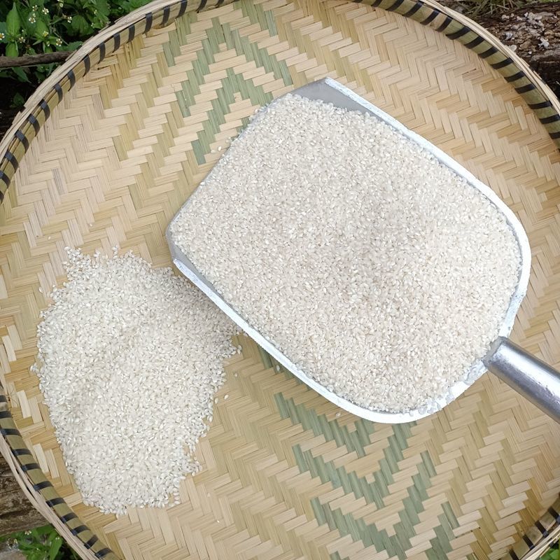 贵州农家桂朝米 多规格 贵潮米桂朝米 米皮米豆腐肠粉凉虾凉糕米粉