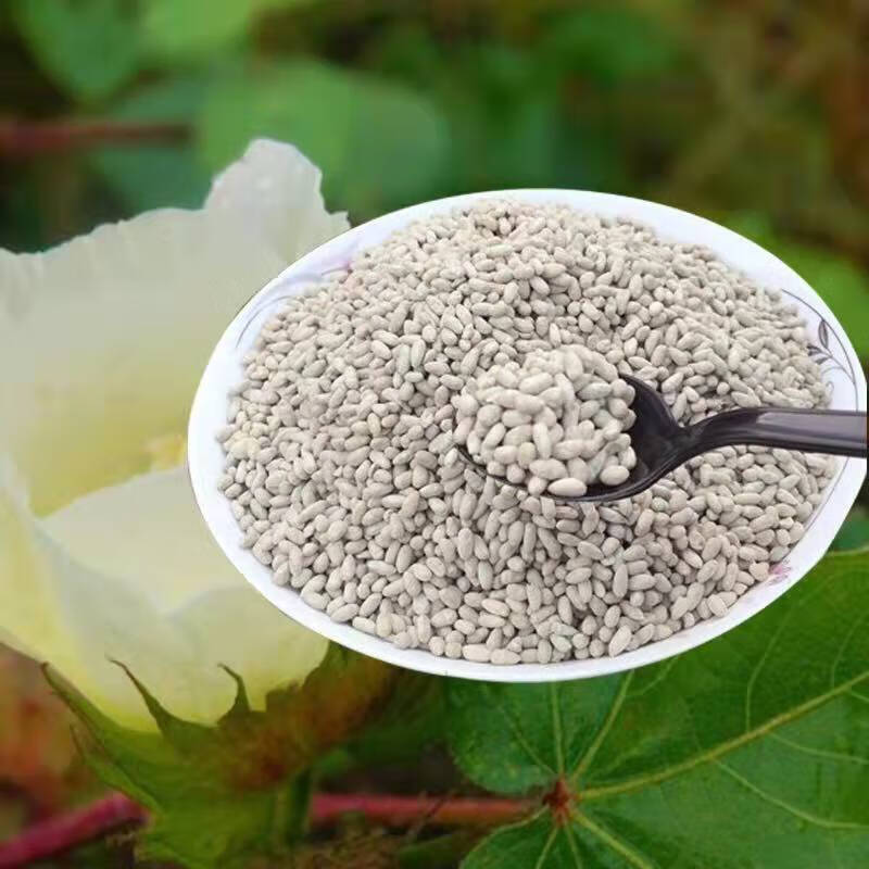 北京同仁堂原料棉花籽食用去皮棉花籽棉花籽心脏偏方可食用无壳棉花籽