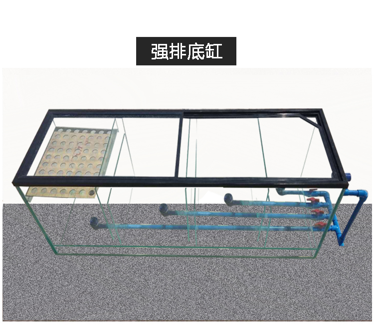 魚缸底濾水族箱底濾缸底濾槽過濾缸尺寸定製三格字海缸虹吸現貨四格