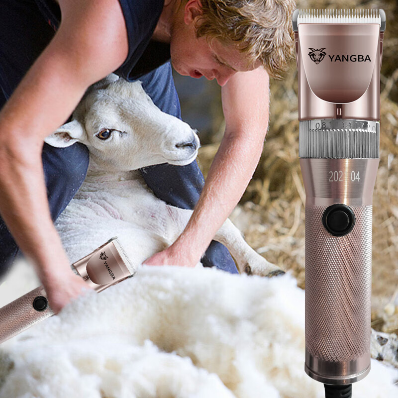 绵羊超尔狼霸羊毛羊毛剪绒山剃羊毛机兔毛电推剪 超尔t63工具箱包装双