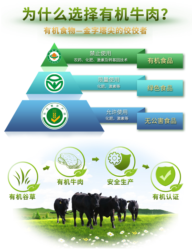 【冷鲜肉】天莱香牛 安格斯有机大黄瓜条烩扒 500g*3袋 新疆有机牛肉