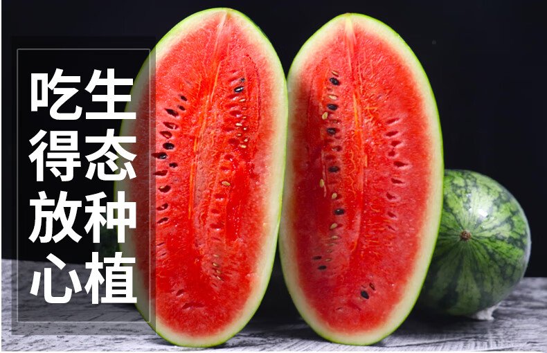 广西黑美人西瓜解渴水果新鲜当季薄皮香甜大西瓜10整箱 7斤【图片