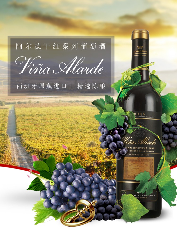 联合酒业(vina alarde)精选陈酿干红葡萄酒 西班牙原瓶进口红酒 里奥