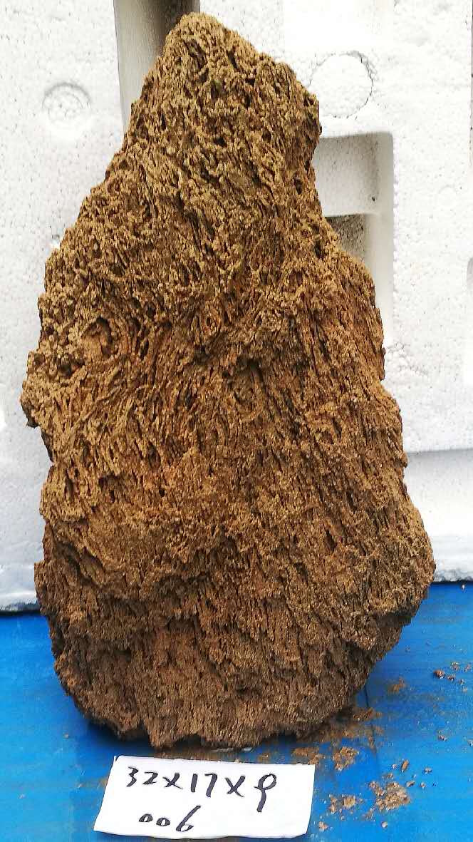 钟乳石假山 麦管石吸水石上水天然原石植物假山盆景钟乳毛料石水秀奇