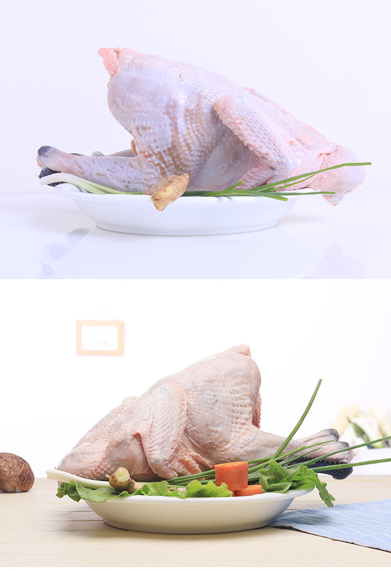 农家散养大公鸡土公鸡柴公鸡草公鸡老公鸡子公鸡整鸡现杀 一只大公鸡