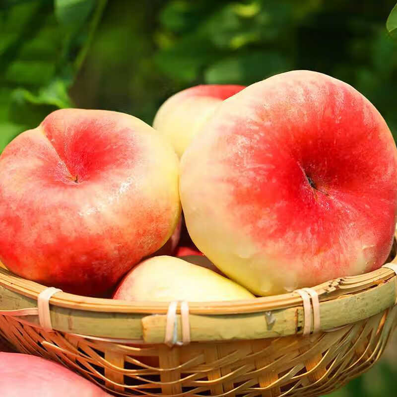 北京平谷蟠桃新鲜5斤当季整箱孕妇水果现摘红毛扁桃脆甜桃子 2250g