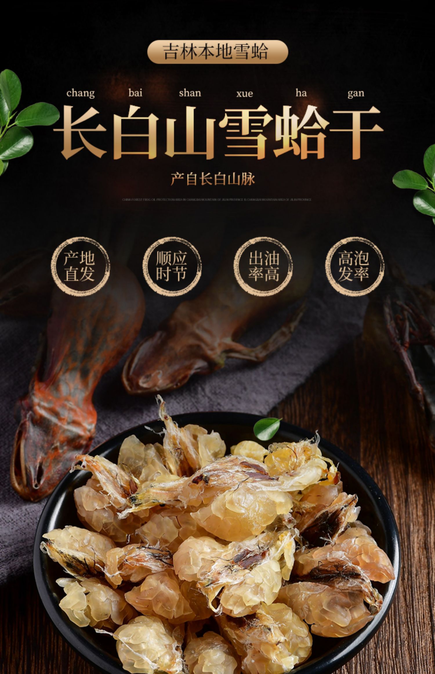 雪蛤干整只东北长白山林蛙干10克雪蛤油林蛙油蛤士蟆【图片 价格 品牌