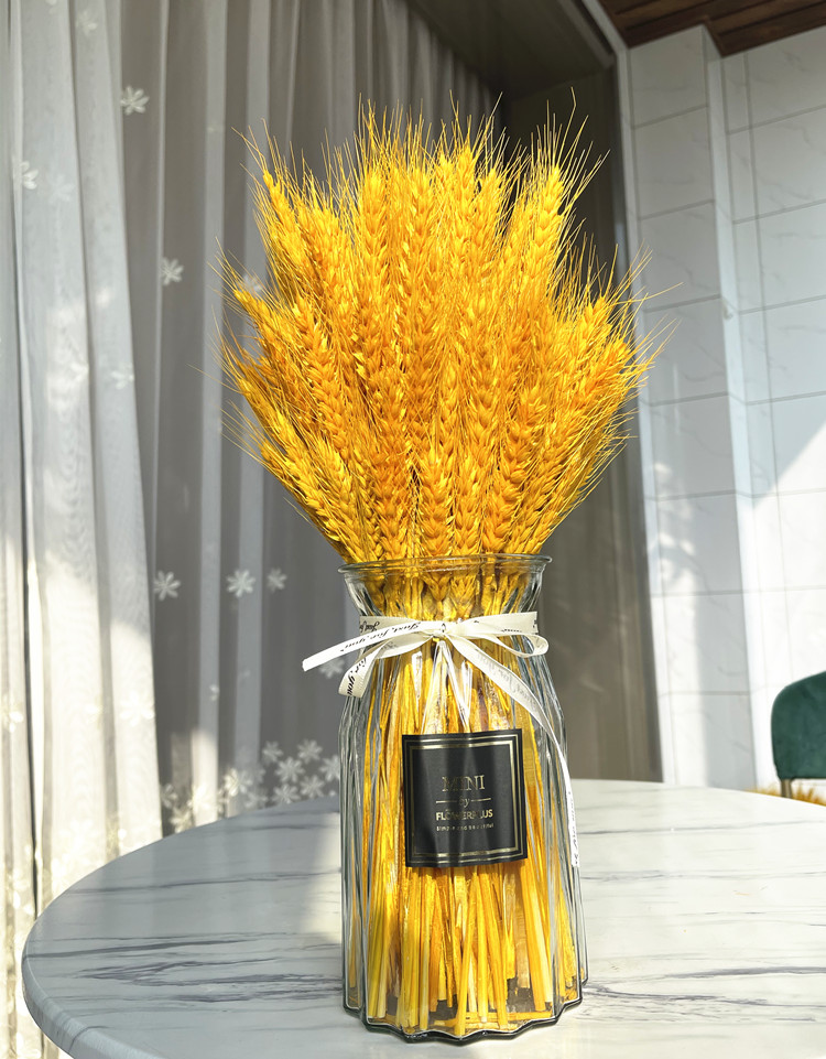 佟年 高品质金黄金麦穗干花客厅摆设装饰过年花摆件天然小麦大麦花束