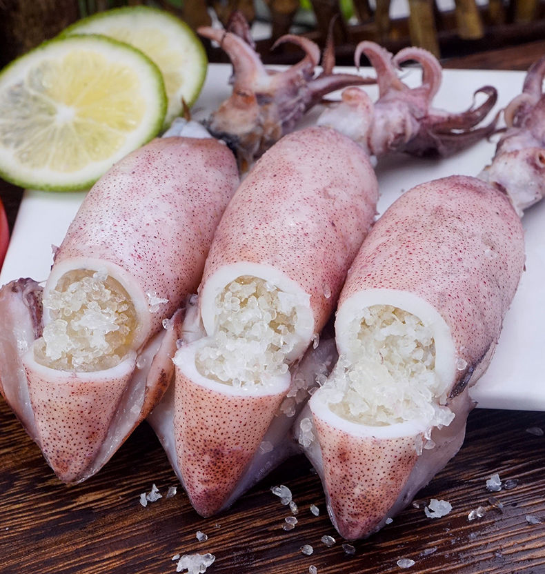 满籽籽乌全籽籽乌生鲜海兔笔管鱼墨鱼鱿鱼墨斗鱼烧烤海鲜 【精选原籽