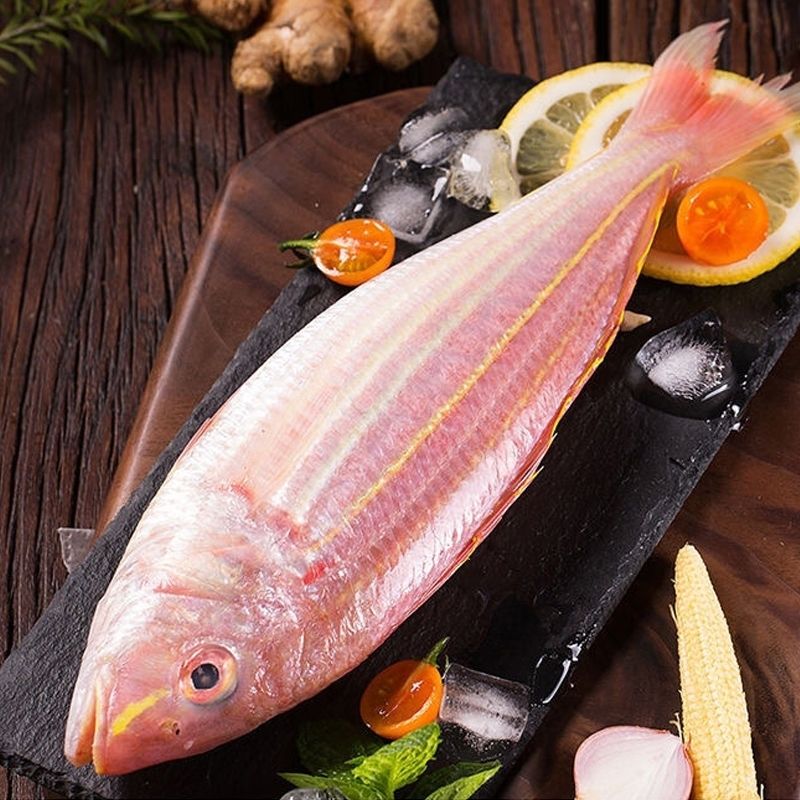 广东海鲜 金丝鱼 深海金线鱼 刀鲤鱼 红杉鱼鲜冻 豪鼎汇生鲜 广东省外