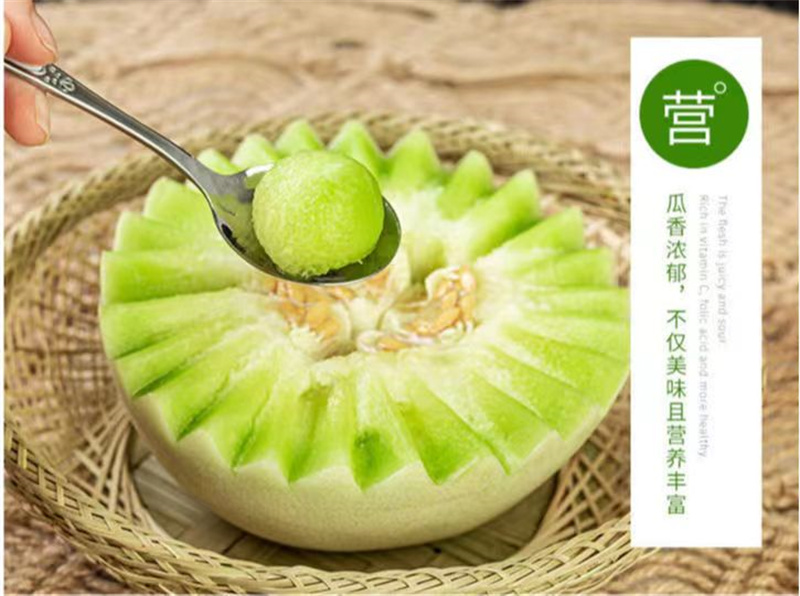 水果新鲜奶香蜜瓜顺丰 3斤 【礼盒装】送礼佳品,顺丰快递【图片 价格