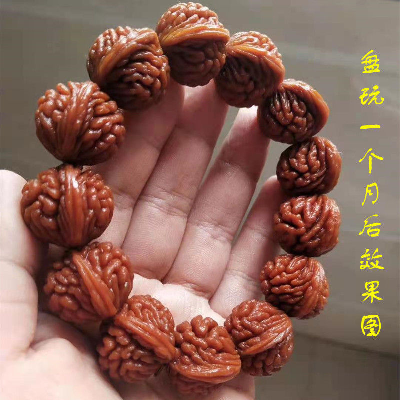 秦岭刺龙纹桃核桃胡手串纹龙纹手串正圆手串把玩件依莲妃 刺龙纹【原