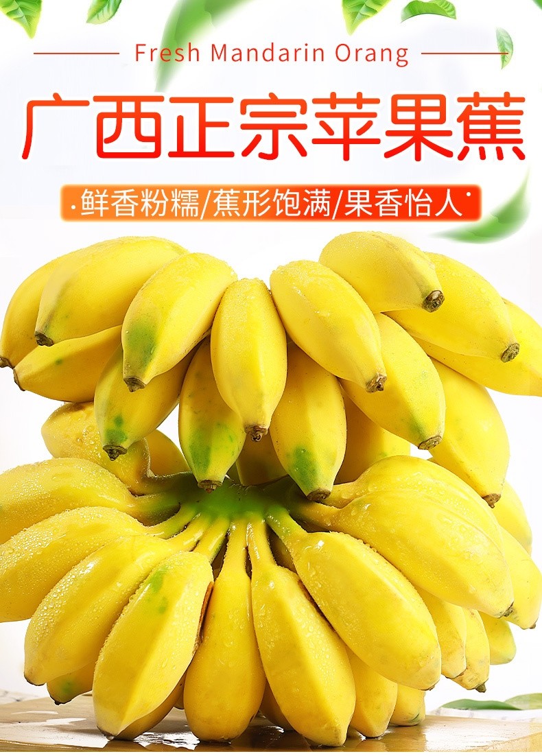 香蕉 苹果蕉 粉蕉自然熟 新鲜水果 苹果蕉 5斤精选【图片 价格 品牌