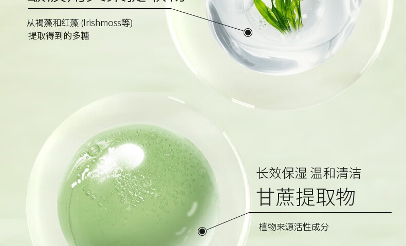 娇润泉氨基酸洗面奶臻颜净透温和清爽敏感肌控油小杨哥七老板男女士 （划算装）洁面乳100g*2支