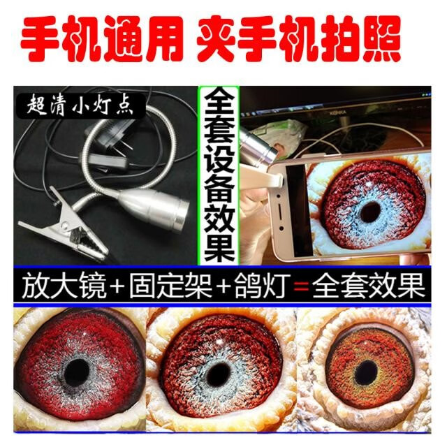 鸽眼拍摄神器6500倍高清鸽子用品手机通用鸽眼拍照设备鸽眼放大镜光学