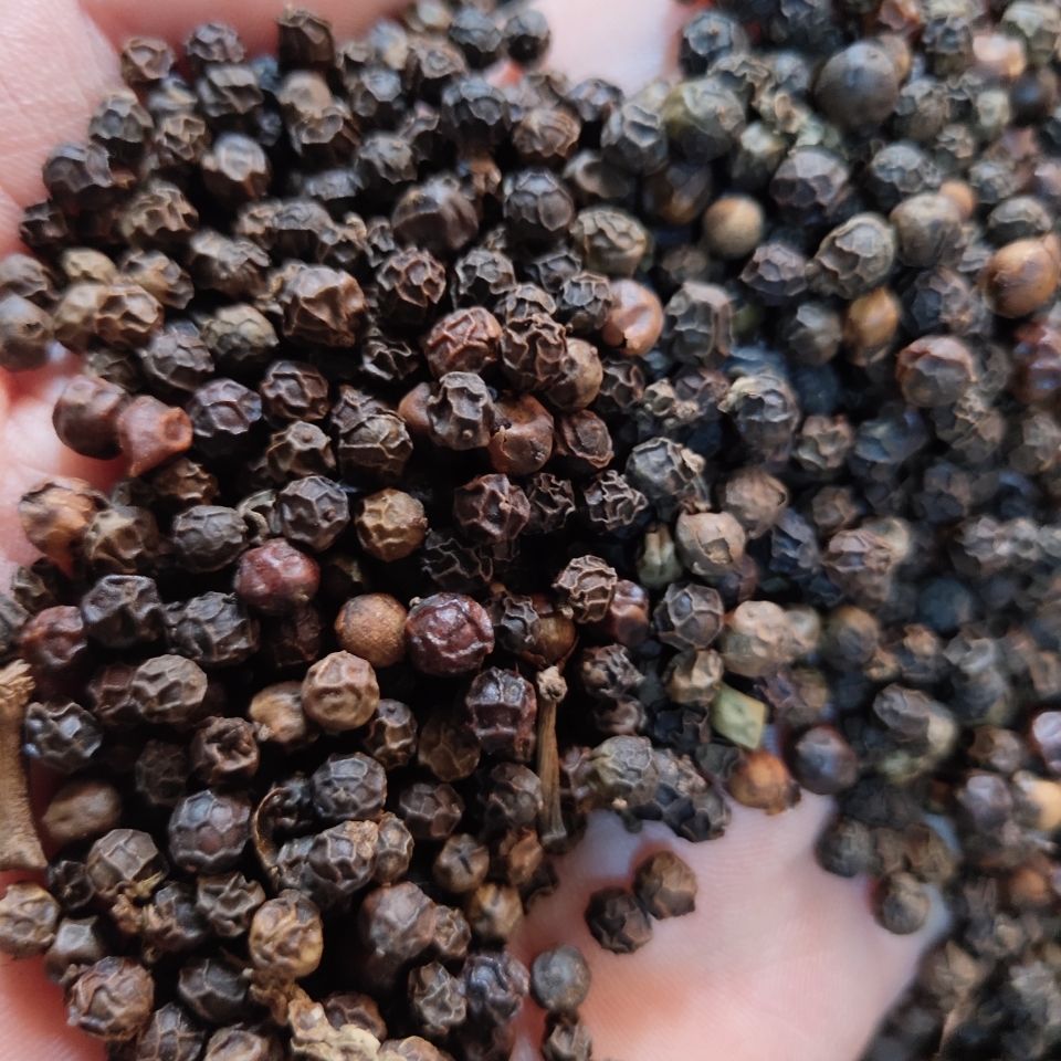 中药材 黑胡椒粒 黑胡椒 50g 可打粉 500克 正品黑胡椒粒【图片 价格