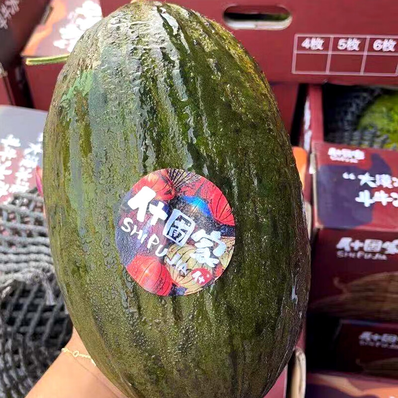 玫栀 黑金蜜斗牛小瓜大漠冰淇淋蜜瓜什圃家软糯甜心清喉蜜瓜一个起售