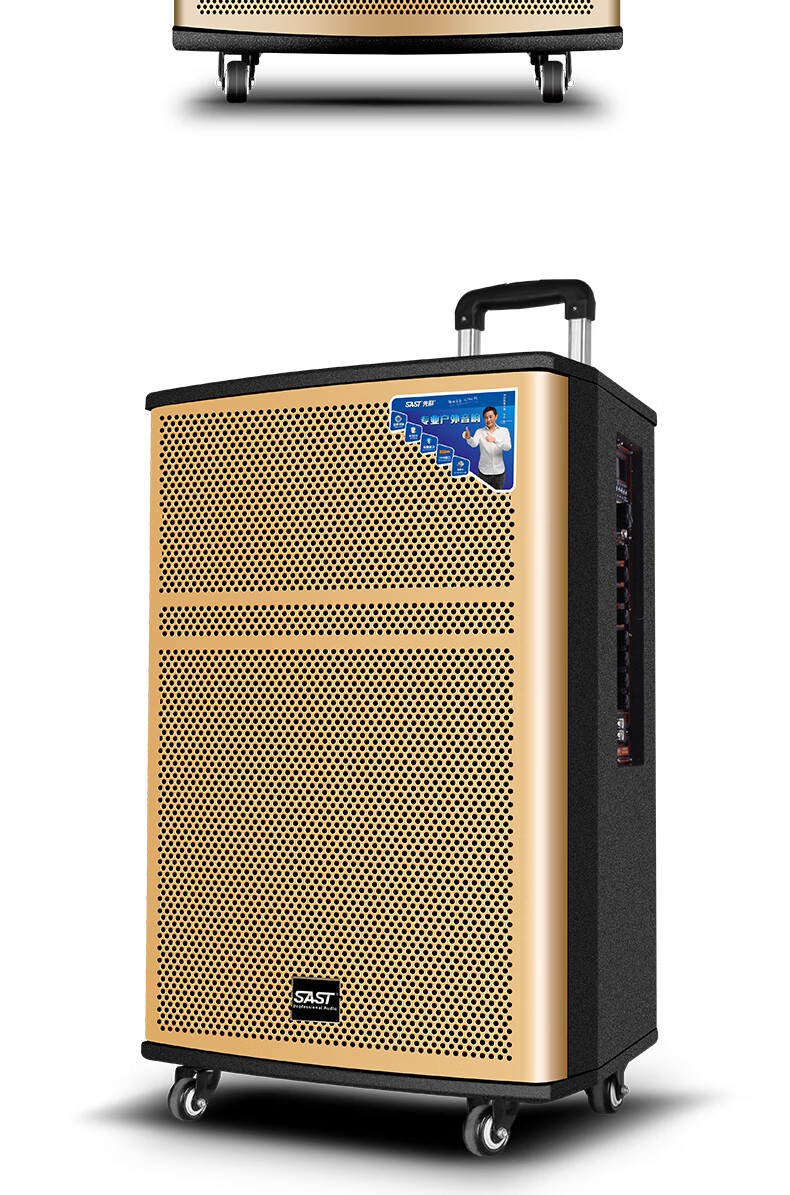先科(sast) 先科wd-15广场舞音响蓝牙充电移动户外音响大功率演出带