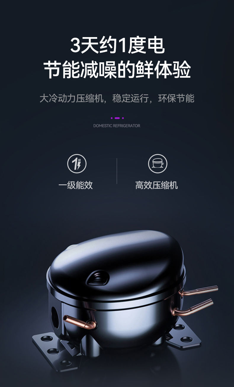 奇声冰箱一级能效家用双开门小型迷你冷藏冷冻宿舍出租房节能省电sh