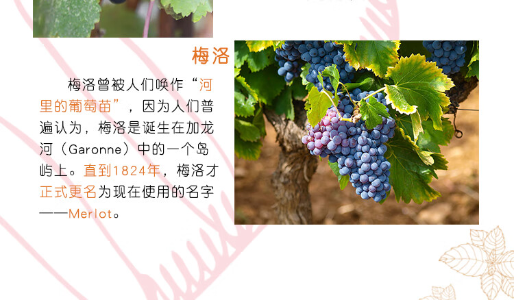 法国四级庄 拉图嘉利/佳丽正牌 红葡萄酒 chateau la tour car 2018年