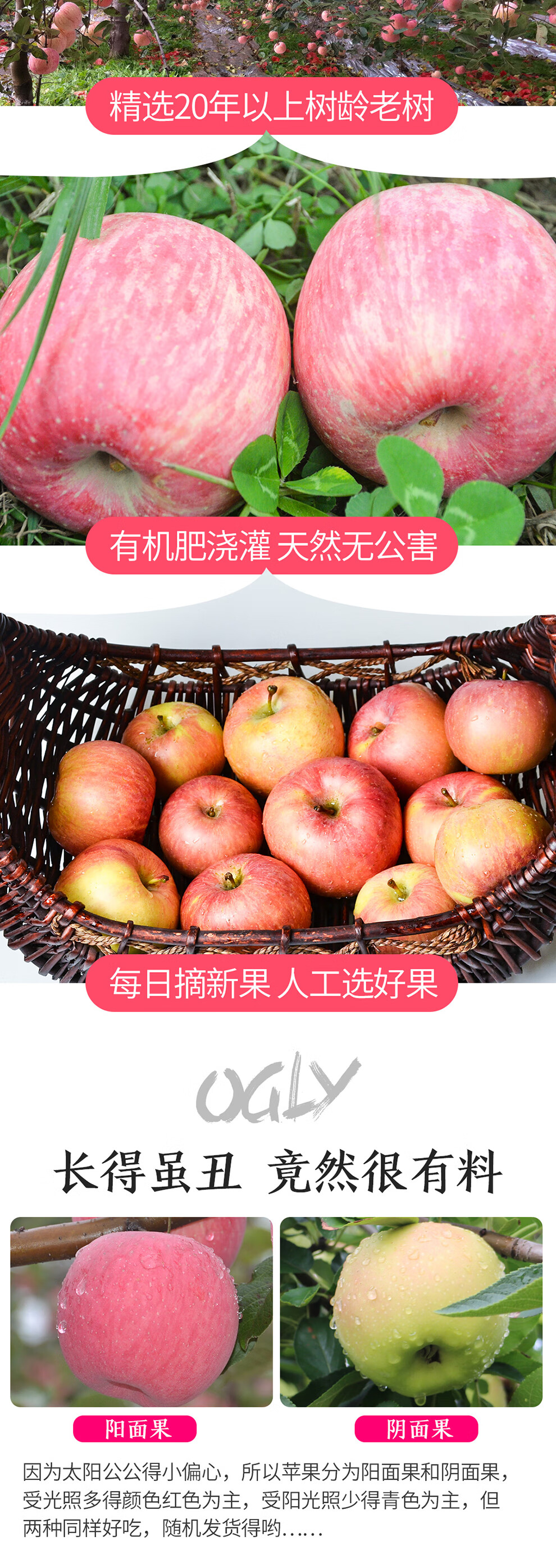 壹农壹果 阳光蜜脆红富士苹果 带箱10斤装 果径75-80mm 冰糖心苹果
