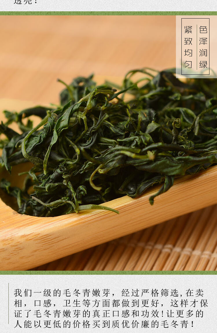 毛冬青茶叶怎么看真假「毛冬青茶泡出来什么味道」