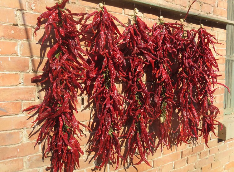 真实红辣椒串干辣椒挂件农家乐装饰民宿饭店火锅店装饰丰收节道具
