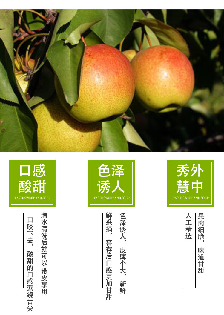 密云本地特产红肖梨时令水果 酸甜多汁皮薄无渣4斤老北京红梨 2000g