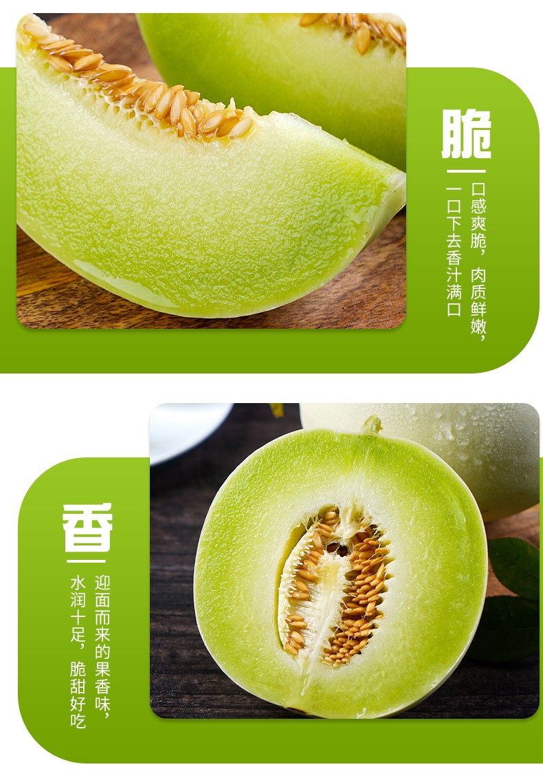 顺丰速运上海南汇玉菇甜瓜5斤装软糯香甜当季小蜜瓜新鲜水果哈密瓜
