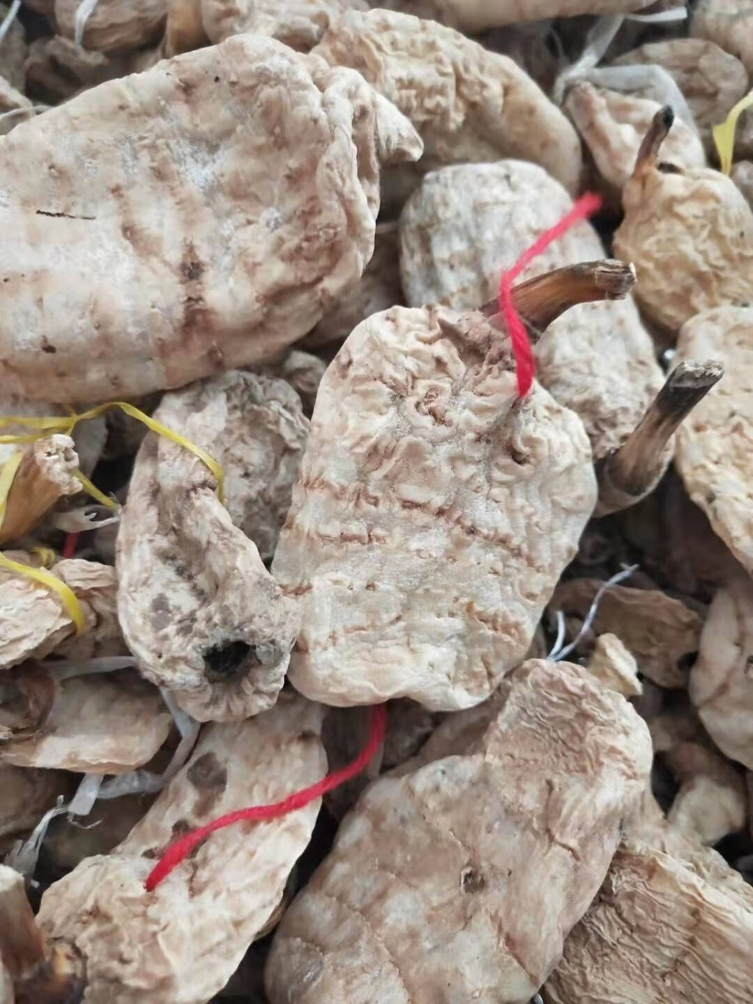 有仁堂西藏林芝波密天麻250g500g下单赠送礼品天麻250g