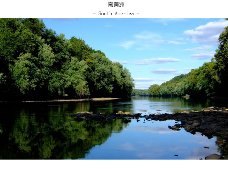 真山真水风景图片花鱼图片