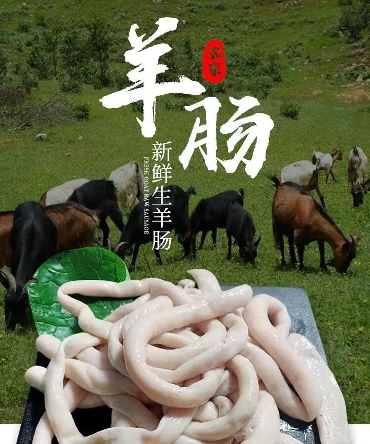 新鲜羊肥肠3斤5斤肥肠大肠冷冻生羊肠羊肥油肠羊下水羊福茹洲3斤山羊