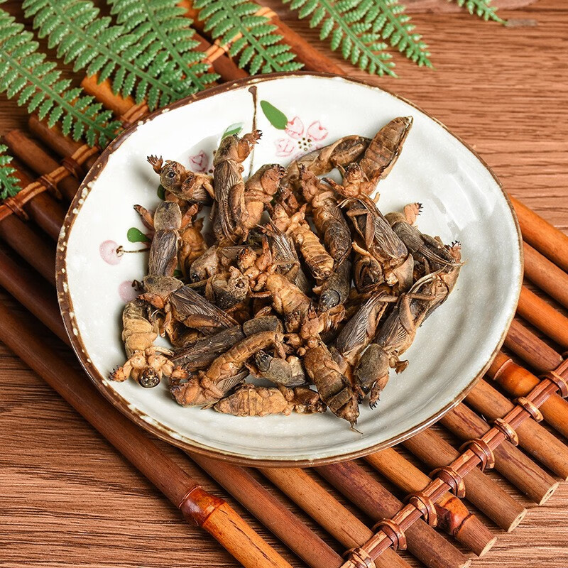 北京同仁堂 新货干货 野生蝼蛄 中药材 蝲蝲蛄 地