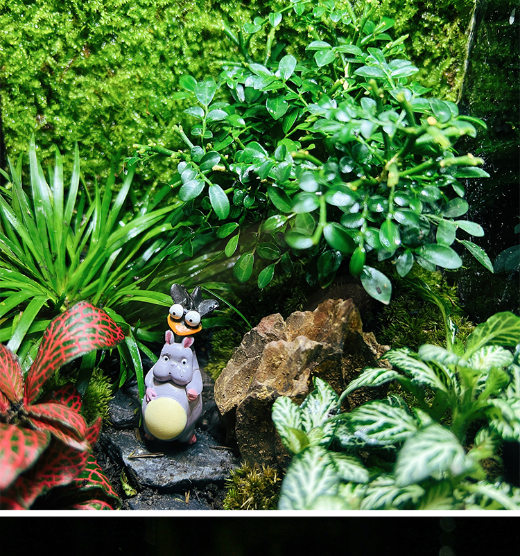 微縮景觀生態缸雨林缸造景套餐苔蘚生態瓶桌面盆栽茶臺盆景成品 靜雅