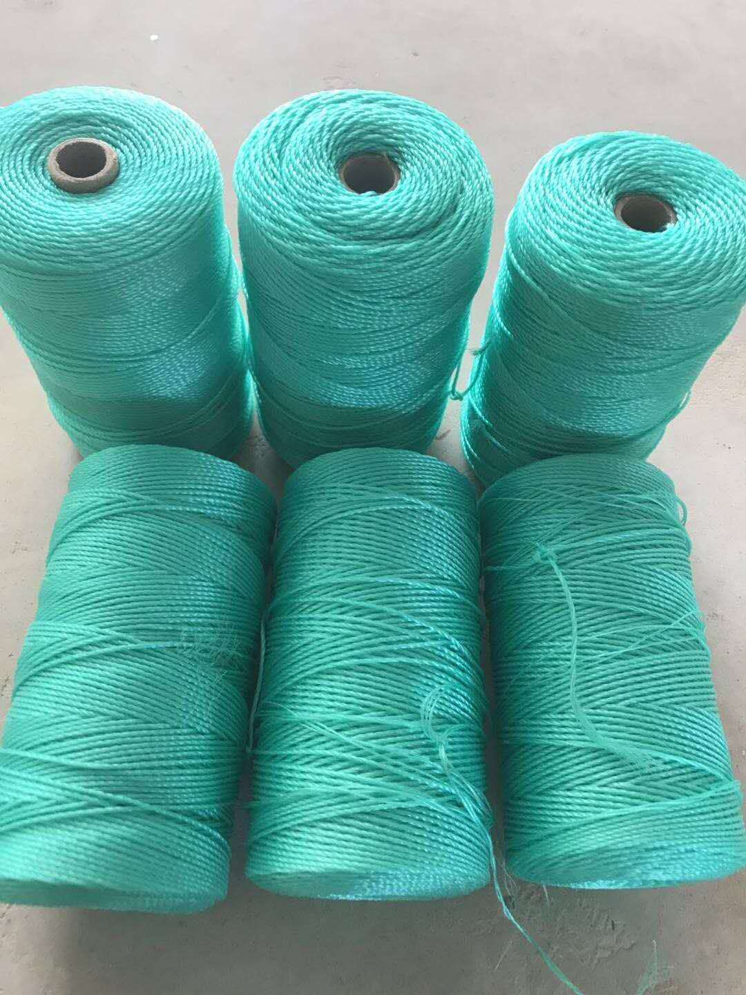 青意萱尼龙绳大棚吊秧绳聚乙烯线绳渔网拉绳施工绳塑料线编织绳1毫米