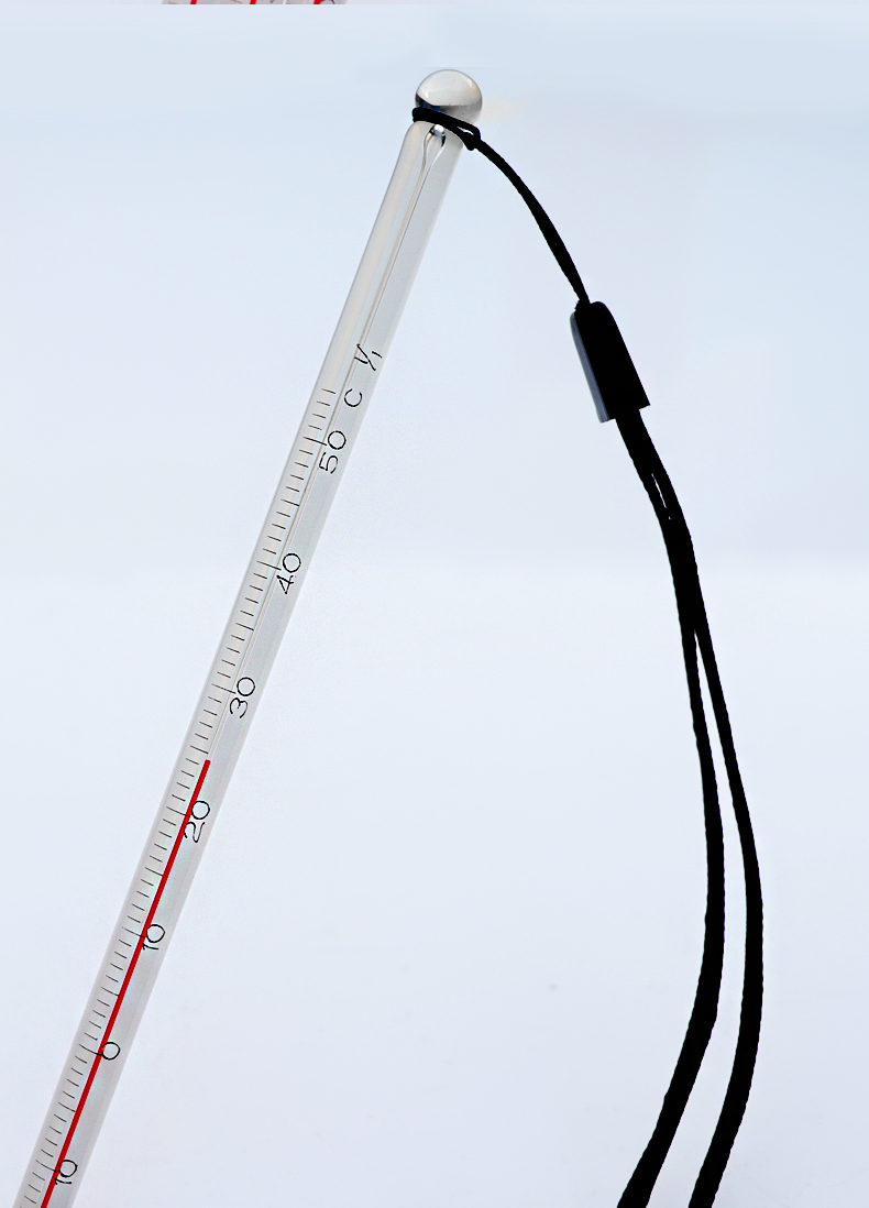 低温零下果蔬保鲜冷库冰箱药房玻璃工业用温度表5050精度1长30cm