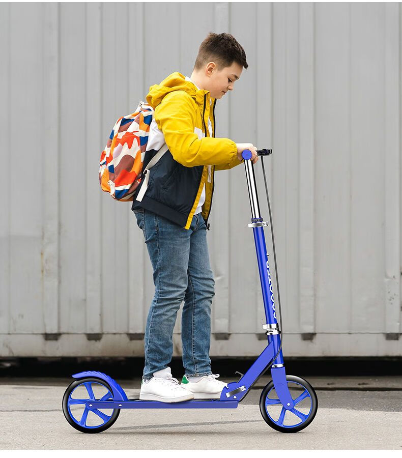 等歌(dengge) 成人滑板车成年校园城市二轮上班代步车折叠单脚踏板车