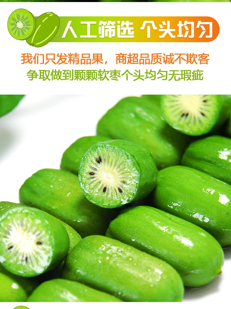 现货丹东新鲜软枣猕猴桃迷你东北特产圆奇异莓果莓小猕猴桃 1斤装