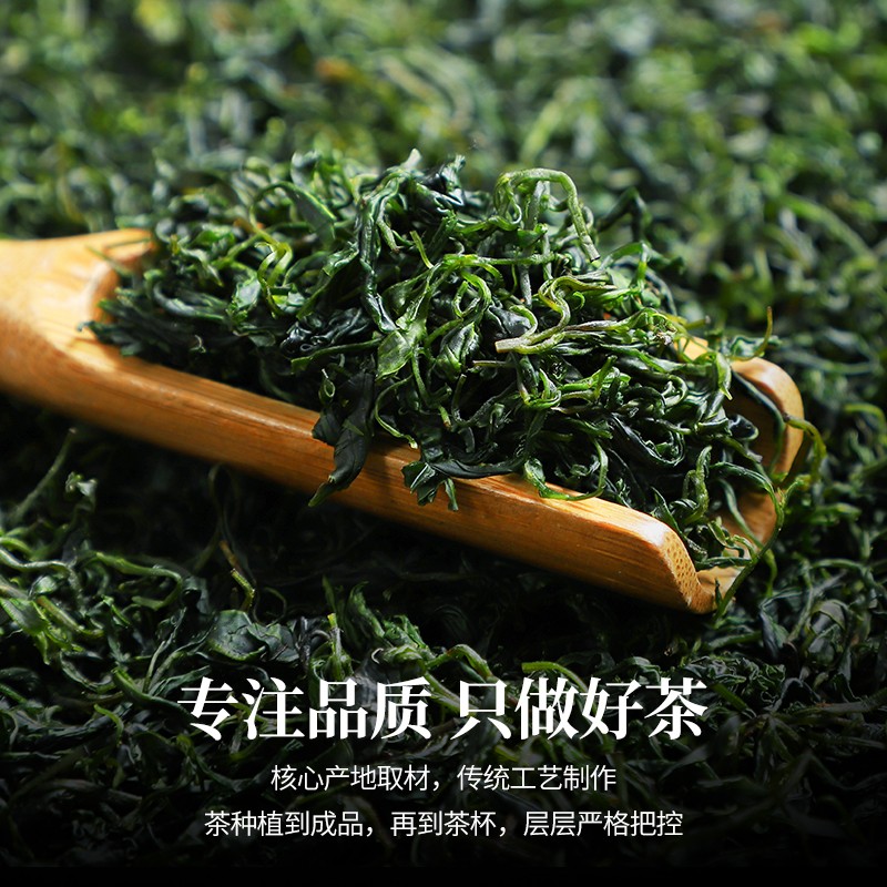 小叶苦丁茶青山绿水四川峨眉山嫩芽茶叶2021新茶花草茶散装袋装250克