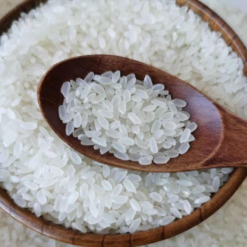 【新米】黑龙江肇源长粒香米5kg真空装东北大米10斤 5kg 斤 5kg【图片