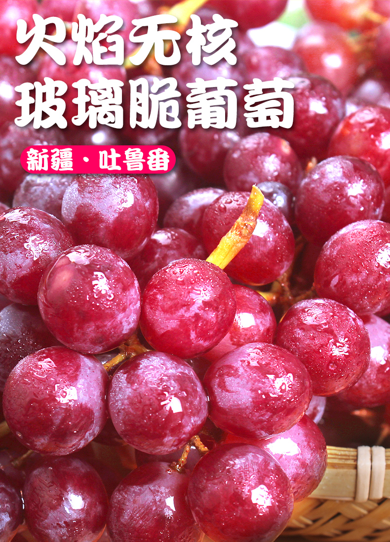 【顺丰】新疆无核葡萄 吐鲁番玻璃脆葡萄无核红提新鲜水果现摘提子脆