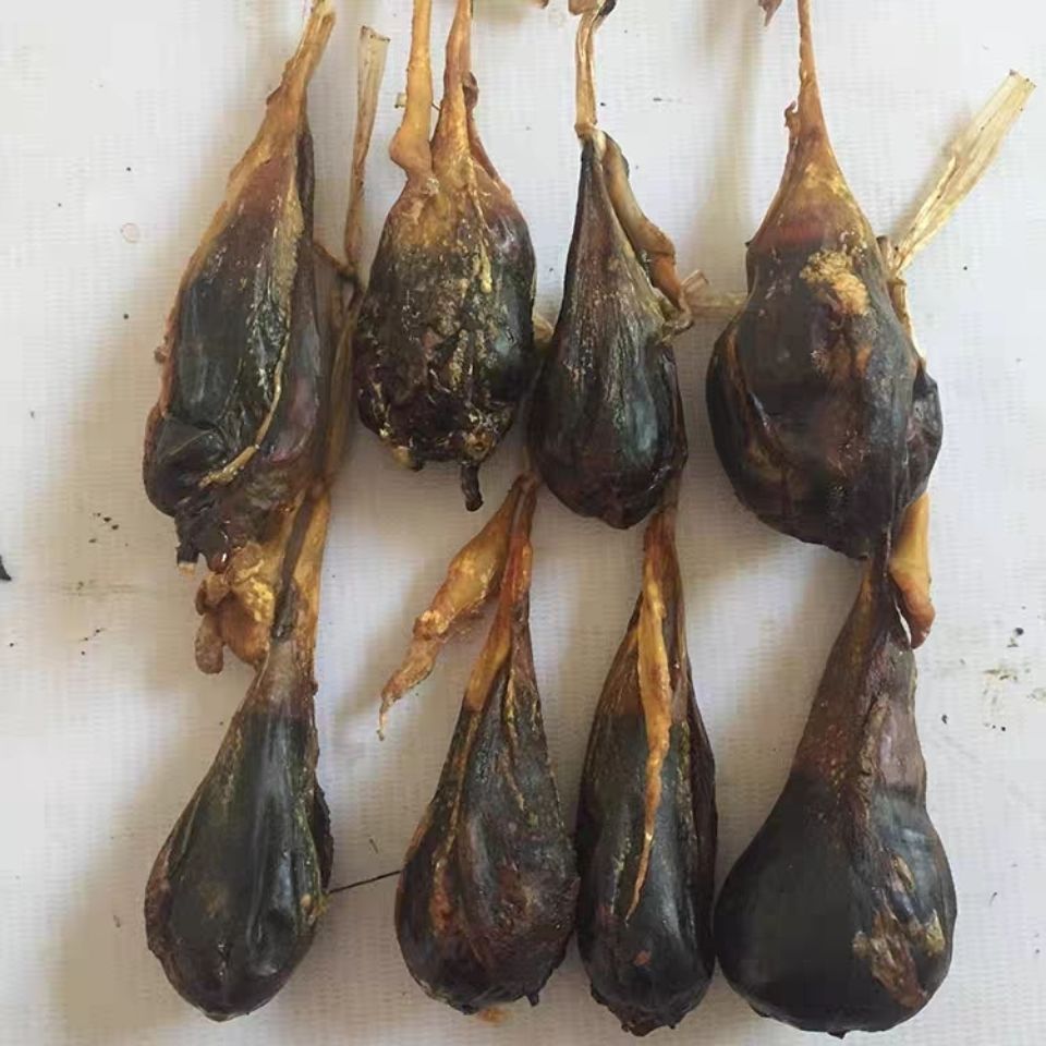 中药材猪苦胆干牛胆干自然阴干整个猪苦胆干猪胆粉 1个 猪胆粉30克