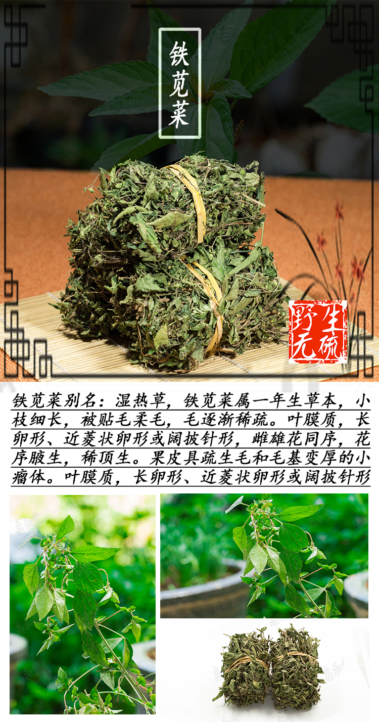 500克野生干品铁苋菜海蚌含珠壳草血见愁野麻草李子草