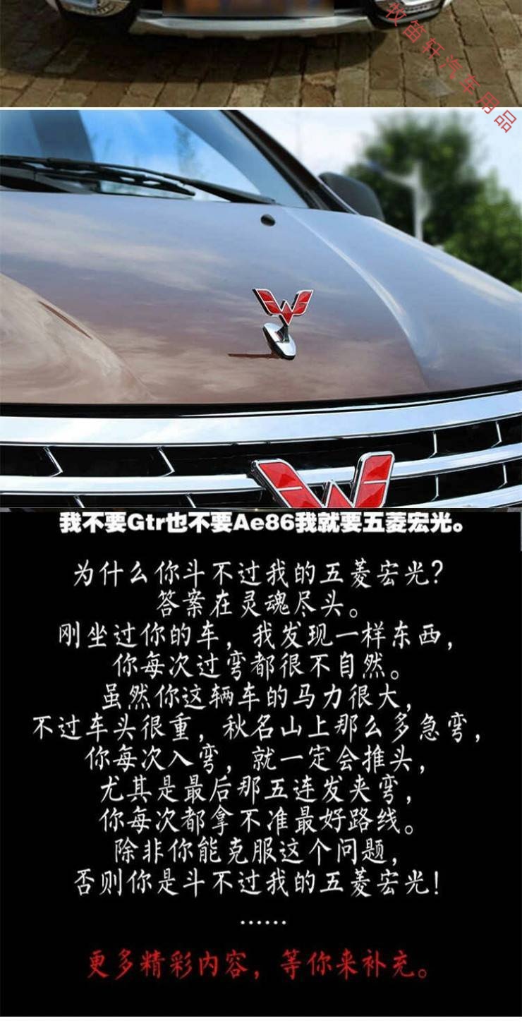适用于五菱宏光s汽车车头装饰车标前车标立标原车车神标志荣光 五菱立