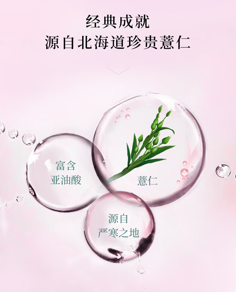 奥尔滨（ALBION）albion奥尔滨健康水小样渗透乳中样水乳套装控油补水保湿紧致毛孔 健康水12ml*2+保湿中样乳29g