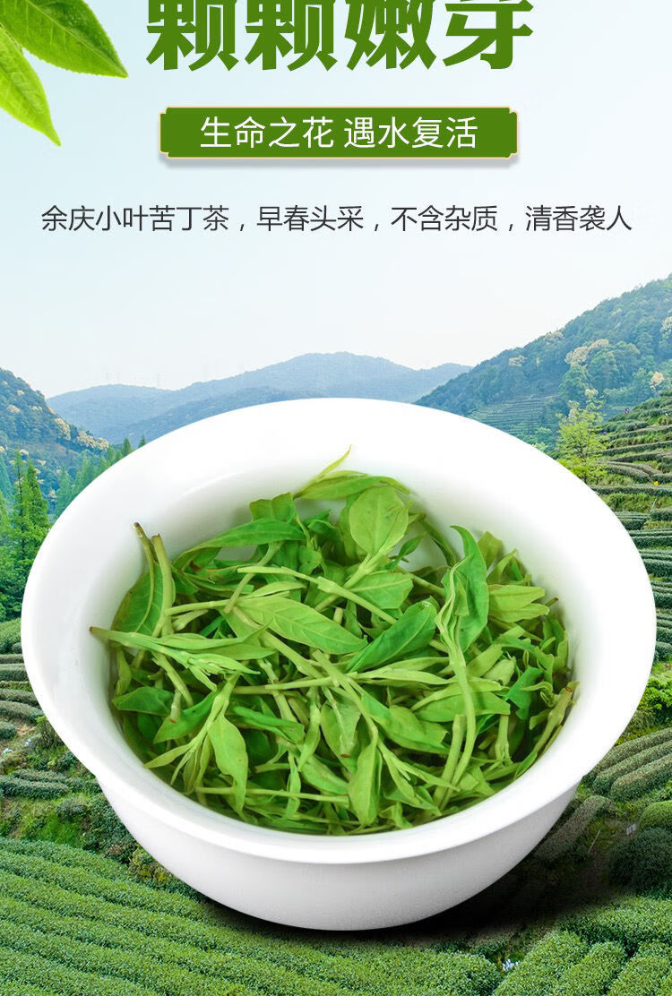 餘慶小葉苦丁茶特級2021新茶葉貴州特產養生苦丁茶250g250g一袋